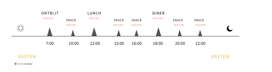 We zijn er niet voor gemaakt om de gehele dag te eten