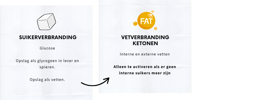 Betere vetverbranding met intermitterend vasten